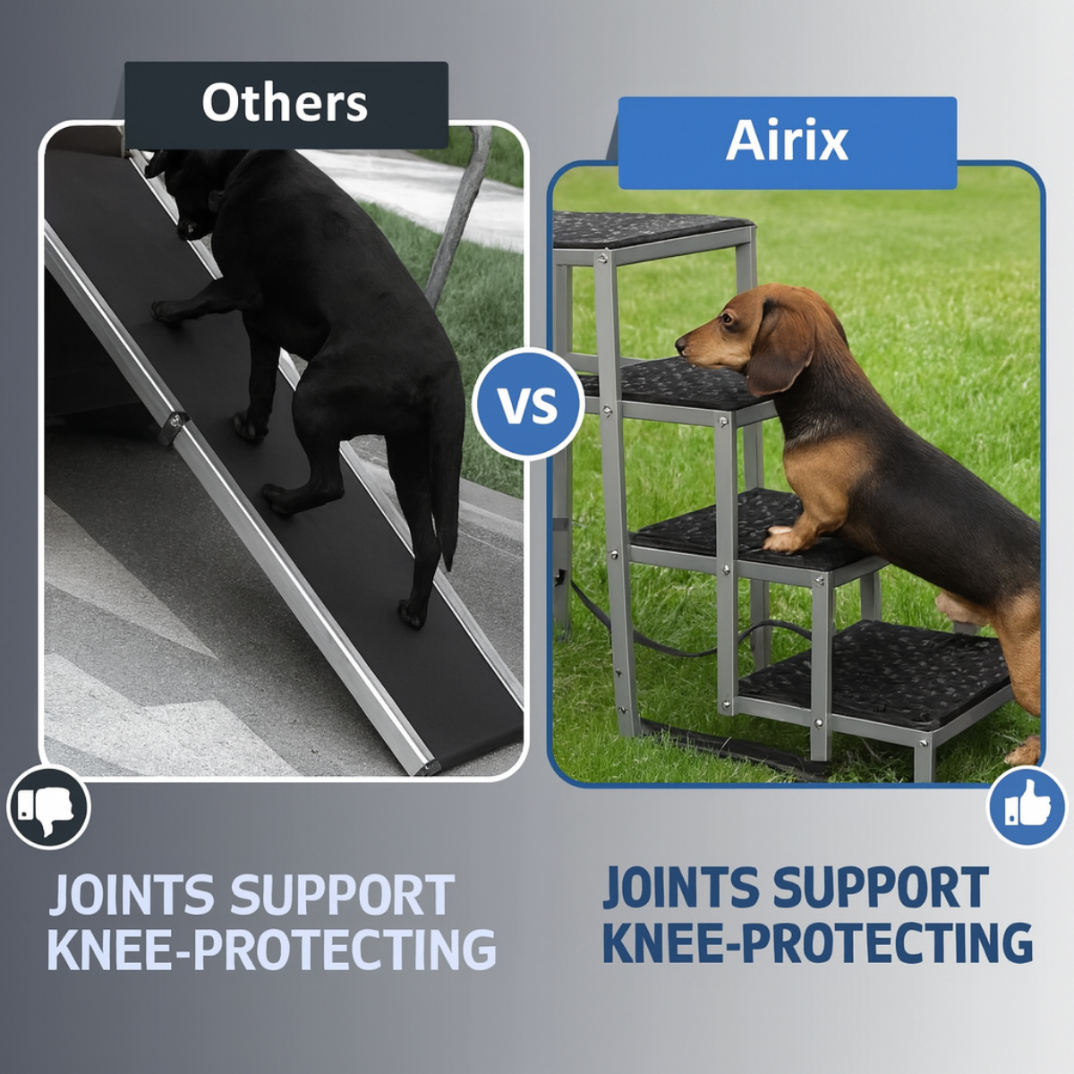 The PetSafe Travel Ramp™