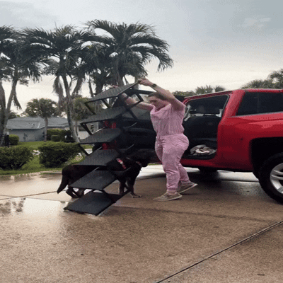 Pettorra Travel Ramp™